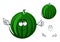 Cute cartoon striped green watermelon character