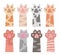 Cute cartoon style  drawings of cat arms and paws with extended claws in different fur colors