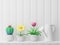 Cute cartoon style empty plank wall for content decorated with colorful small plants in flower pots on white shelves, 3D render