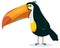 Cute Cartoon Toucan