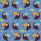 Cute Cartoon toucan birds set on blue background