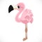 Cute cartoon toy fluffy pink flamingo