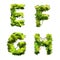 Cute cartoon tropical vines and bushes font on white, E F G H glyphs