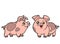 Cute cartoon two pigs color variation for coloring book on white