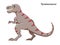 Cute cartoon tyrannosaurus dino character. Vector isolated