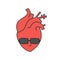 Cute cartoon vector healthy and cool human heart with sunglasses