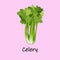 cute cartoon vegetables with smiles on faces and emotions. CARDS FOR CHILDREN'S EDUCATION.Cute vegetable character