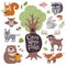 Cute cartoon and wild woodland animals and forest floral elements on white vector set