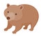 Cute cartoon wombat on isolated white background