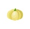 Cute cartoon yellow pumpkin squash vegetable