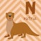 Cute cartoon zoo illustrated alphabet with funny animals. Spanish alphabet: N for Nutria.