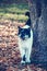 Cute cat in the autumn park. Black and white cat.