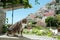 Cute cat, on background Positano scenic view, Amalfi coast, Italy