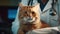 A cute cat is being held by a veterinarian in an animal hospital veterinary. A close-up realistic picture of a pet. Generative AI