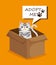 Cute cat in box carton pet friendly