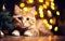 Cute cat on Christmas glittering lights background