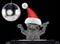 Cute cat in christmas hats singing with microphone a karaoke song. Isolated on black