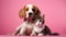 Cute Cat and Dog Hugging each other on Pink Isolated