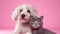 Cute Cat and Dog Hugging each other on Pink Isolated