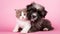 Cute Cat and Dog Hugging each other on Pink Isolated