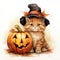 a cute cat dressed in an original Halloween costume hat