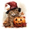 a cute cat dressed in an original Halloween costume hat