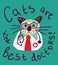 Cute cat fun doctor card and sign.