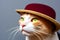 Cute cat with a hat generated by ai