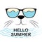 Cute cat head with black sunglasses isolated on white background. Text hello summer. Modern design element for T-shirts. Vector
