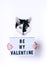 Cute cat holding Be My Valentine sign on white background.