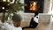 Cute cat looking at cozy fireplace. Footage