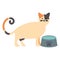 Cute cat mascot with dish water