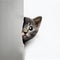 cute cat peeking around the corner, Generative Ai