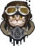 Cute cat in a pilot helmet, funny picture