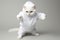 Cute cat portrait. dressed in white hoodie sweater. AI Generative .