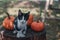 Cute cat and pumpkins on a table