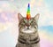 Cute cat with rainbow unicorn horn on blurred sparkling background