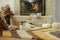 Cute cat relaxing on cozy rug at fireplace. Portrait of adorable kitty lying at warm fireplace with autumn decor and firewood