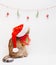 Cute cat in Santa hat looking at Christmas decorations.