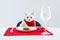 Cute cat  at served dining table against white background