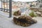 A Cute Cat Sitting on a Balcony and Looking at the Harbor of Symi, Greece