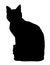 Cute cat sitting. Iillustration of black silhouette of kitty on white background. Element for your design, print