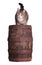 Cute cat sitting on wooden barrel