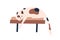 Cute cat sleeping, lying on chair. Adorable kitty resting on comfortable home furniture. Feline animal asleep in comfort