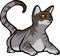 Cute cat with smooth fure elegant funny brown grey