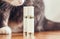 Cute cat sniffs perfume bottles with oil perfumes in a roll bottle sitting on a windowsill, kitten nose and perfume product, aroma