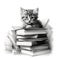 A cute cat with stack of books