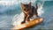 Cute Cat Surfing Adorable Moment Housecat