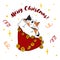 Cute cat tangled in the Christmas light garland. Funny Merry Christmas cat. Happy new year domestic animals in holiday decorations