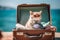 Cute Cat on Vacation Wearing Glasses Looks Stylish Sitting in a Suitcase with Beach View Background